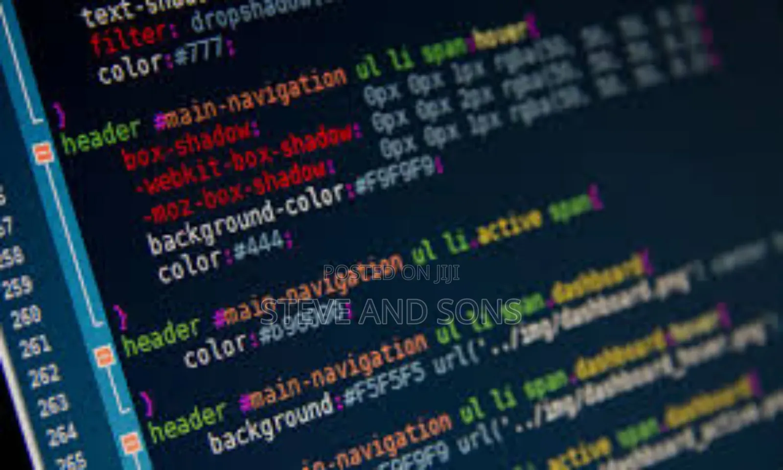Programming and Website Designer