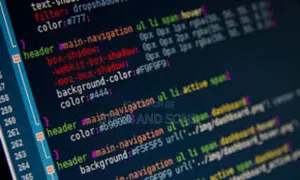 Programming and Website Designer