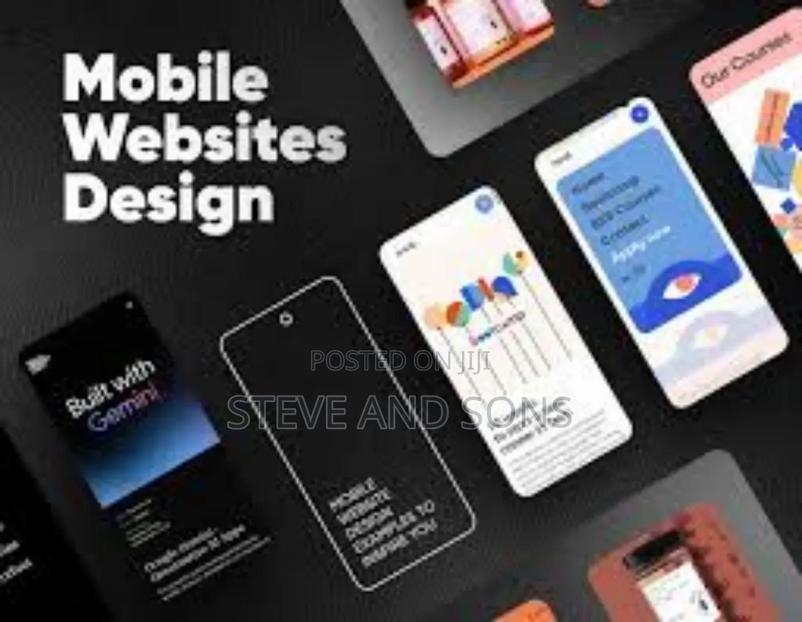 Programming and Website Designer