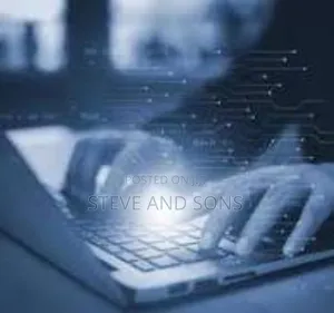 Programming and Website Designer