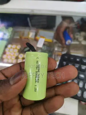 Swane 1.2v 5000mah Nicd C Rechargeable Battery Flat Top Cel