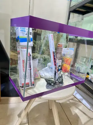 Complete 2ft Aquarium – Just Add Fish!