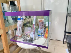 Aquarium With All Accessories – Plug Play