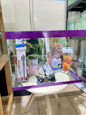 Graceful Aquarium – A Touch of Nature Indoors