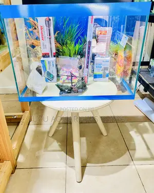 Bring the Ocean Home – 2ft Aquarium