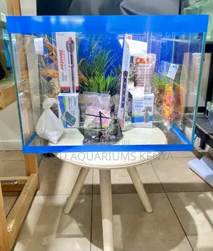 High-Quality Aquarium for Fish Enthusiasts