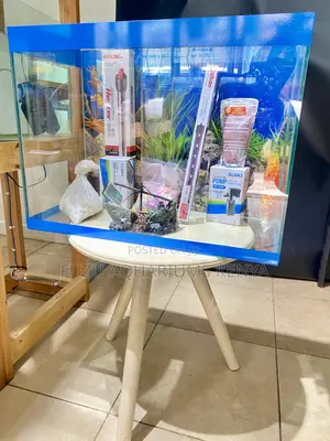Complete 60l Aquarium Setup – Start Today