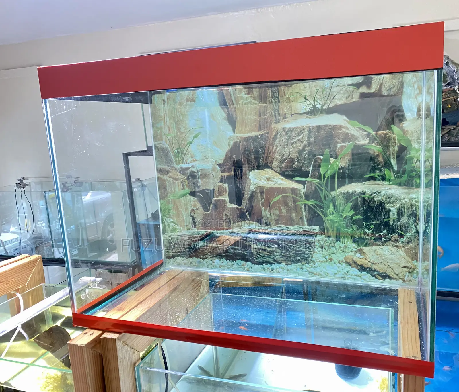 2 Feet Aquarium for a Mini Aquatic World
