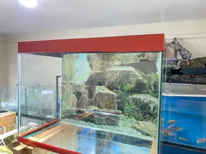 Affordable Luxury – Nairobi Aquarium Set