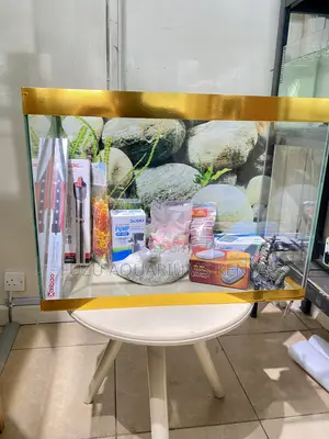 Nairobi Aquarium With Fast Delivery