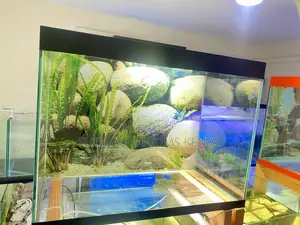 Glass Aquarium With Led Glow Lighting