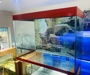 Aesthetic Aquarium for Aquatic Bliss