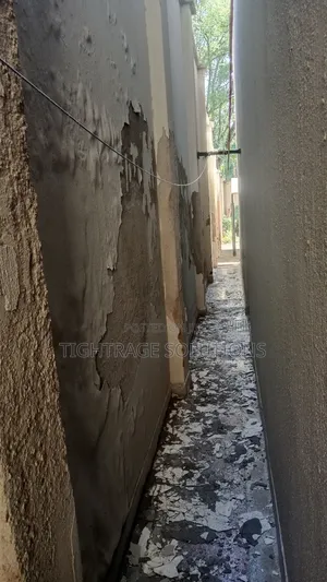 Damprise Treatment