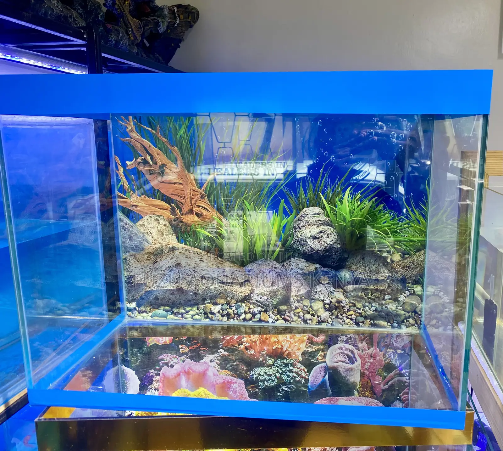 Full 60 Litres Aquarium for Fish Lovers