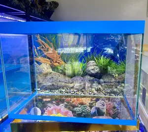 Full 60 Litres Aquarium for Fish Lovers