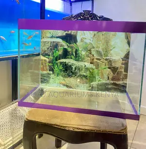 Aquarium That Turns Any Corner Into a View