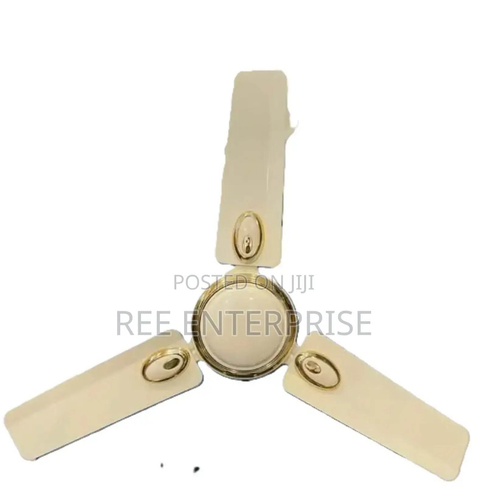 24 Inches Roch Ceiling Fan