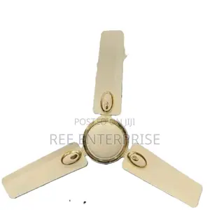 24 Inches Roch Ceiling Fan
