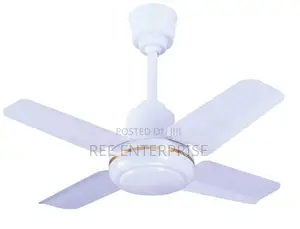 Ceiling Fan 24 Inches Roch