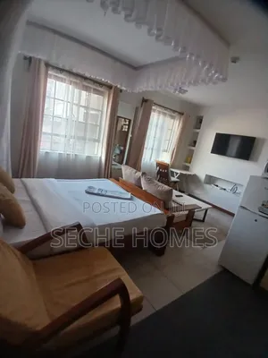 Elegant Studio in Ngara