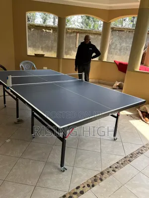 Indoor Table Tennis Table With Bats and Net