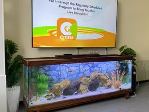 Handcrafted Mahogany Tv Stand Aquarium With Filter Fish