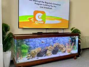 Elegant Tv Stand Aquarium Made From Treated Solid Wood