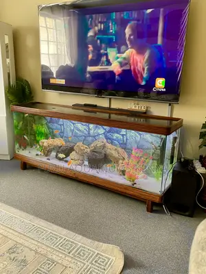 Solid Mahogany Aquarium Tv Stand With Real Fish