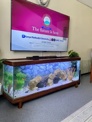 Hardwood Glass Aquarium Combo – Nairobi’S Finest
