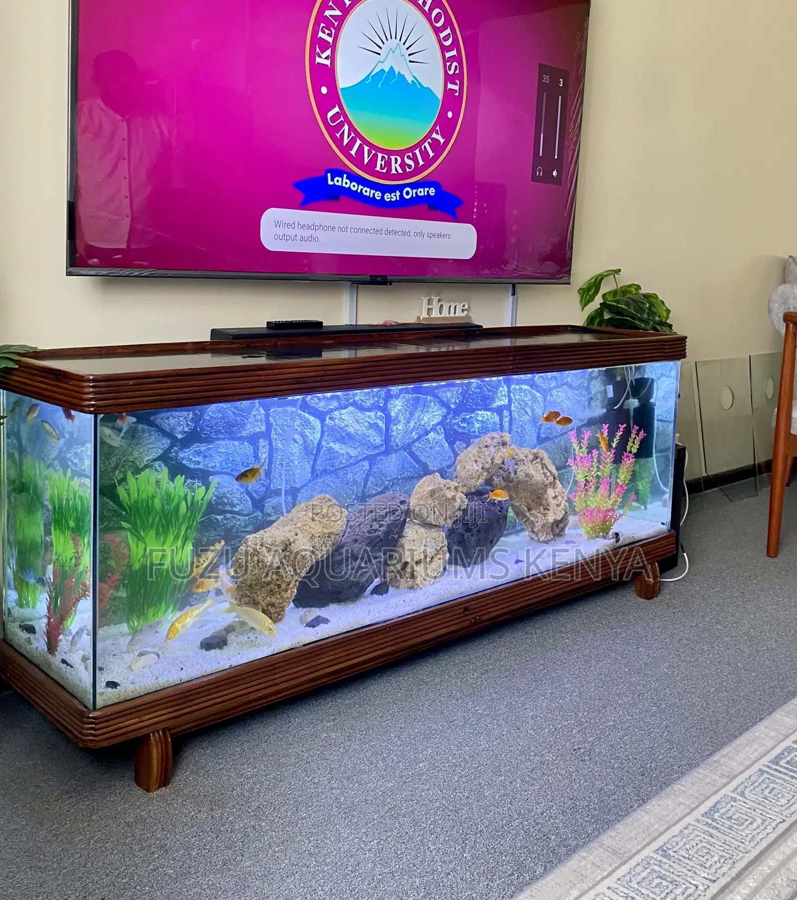 Luxury Solid Wood Aquarium for Tv Area – Full Kit