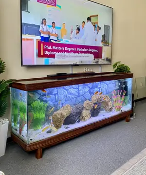 Tv Stand Aquarium in Polished Mvule Hardwood