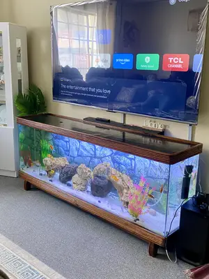 Elegant Hardwood Aquarium Furniture With Filter Pump