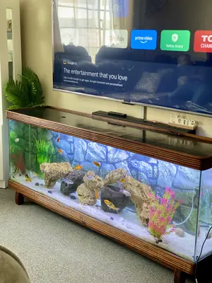 Nairobi Aquarium Tv Stand – Solid Wood Masterpiece