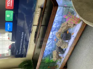 Full Set-Up: Solid Wood Tv Stand Aquarium W/ 10 Fish
