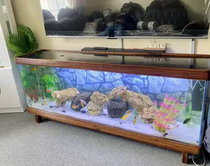 Treated Natural Wood Tv Stand Aquarium With Plants