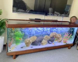 Premium Aquarium Tv Unit – Mvule Mahogany Blend