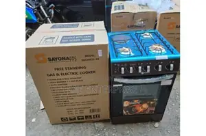 New Model Electric Plate Cooker With Electric Oven 3+1