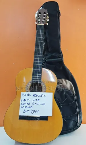 Acoustic Guitar