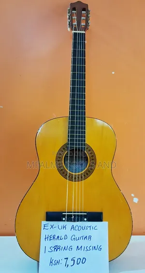 Acoustic Guitar