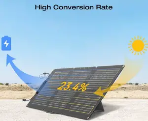 Ecoflow 60w Portable Solar Panel