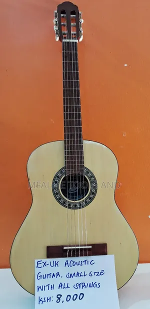 Acoustic Guitar