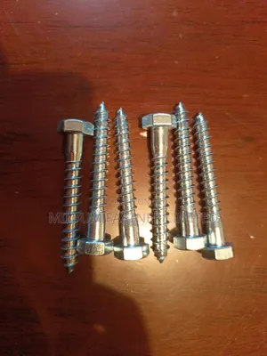 Galvanized Coach Screws