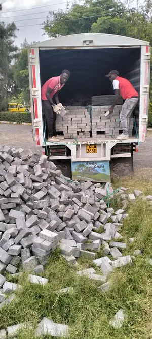 Cabro Blocks 60mm Supply