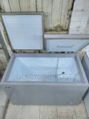 Ezzel Deep Freezer Fridge 500l