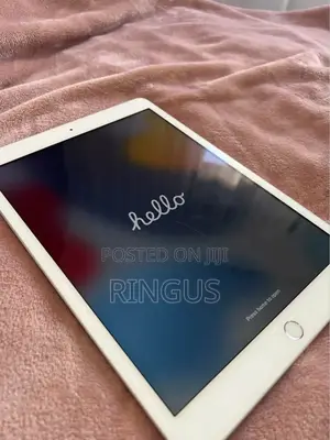 Apple iPad Pro 32 GB Gray