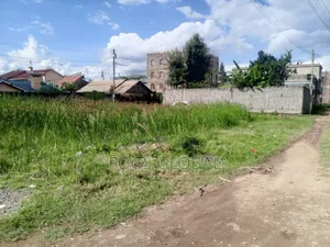 Kimbo 2 Commercial Plots 40x60