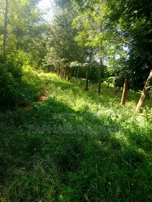 15 Acres at Masii Mwala Musaalani