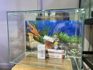 Stunning Aquarium With Led Light – Order Now