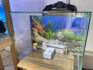 Sleek Glass Aquarium – 60 Litres of Pure Beauty