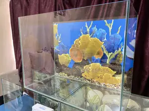 Trendy Glass Aquarium – Home or Office Ready